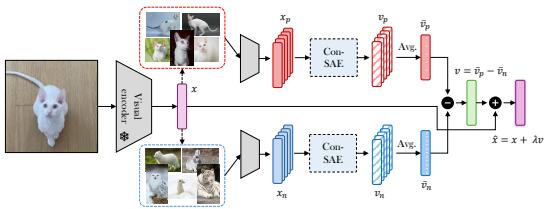 Beyond Interpretability figure