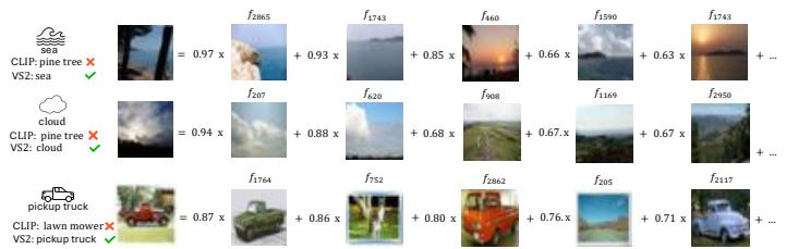 (b) VS2-corrected examples using weighted interpretable features