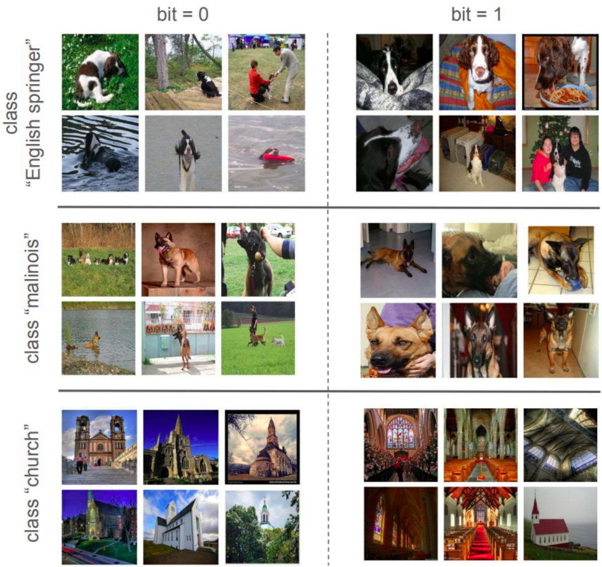 Figureure 10 · Visualization of images from three ImageNet classes (English springer,