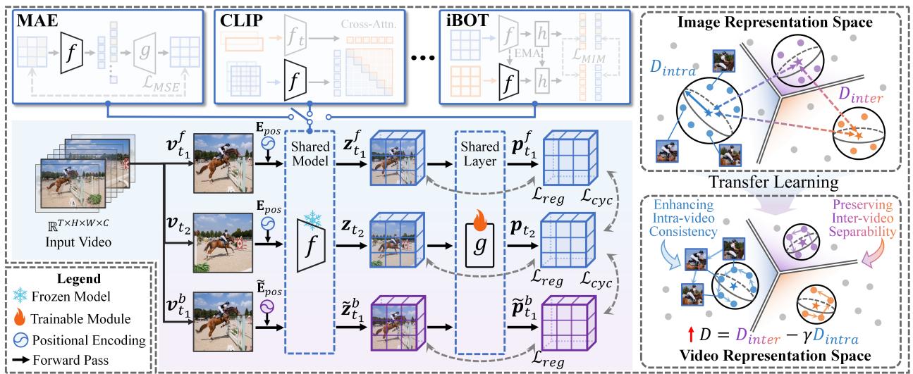 From Static to Dynamic figure