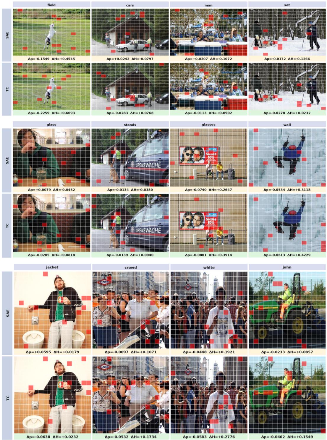 Transcoders Trace Visual Grounding figure