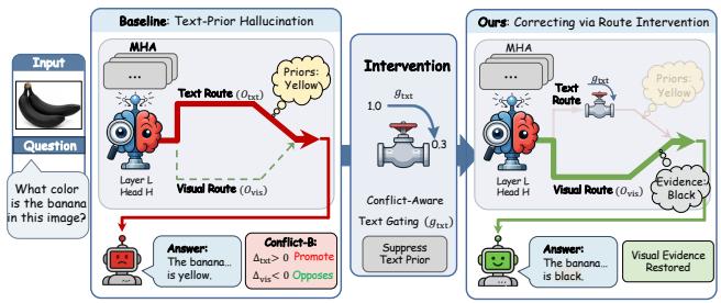 Figureure 1 · When language priors override visual inputs, the baseline model tends 