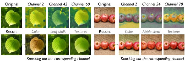Figureure 2 · : We visualize several channel activation maps from our VQVAE encoder 