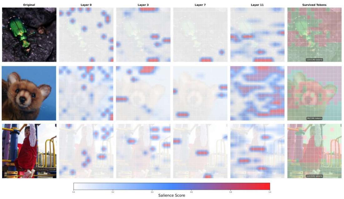 Figureure 1 · : Layer-wise salience maps and survived tokens from $\mathrm { A D A M
