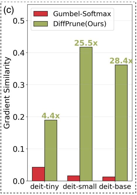 Beyond Surrogate Gradients figure