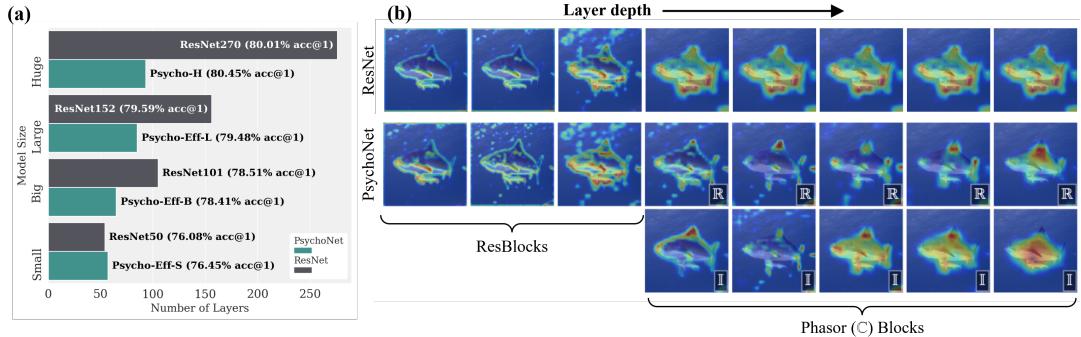 Figureure 7 · : (a) Comparison of layer depth between different ResNet models and ou