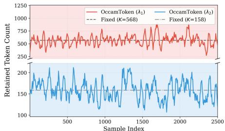 OccamToken figure