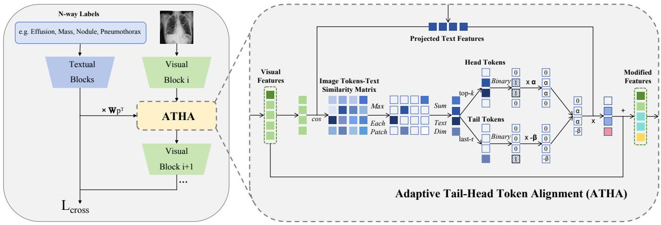 Figureure 4 · Overview of our Adaptive Tail-Head Alignment (ATHA) framework