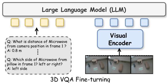 Beyond 3D VQAs figure