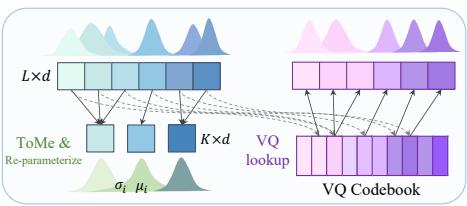 (c) MergeTok Tokenizer (Ours) Figure 1: (a) Discrete VQ