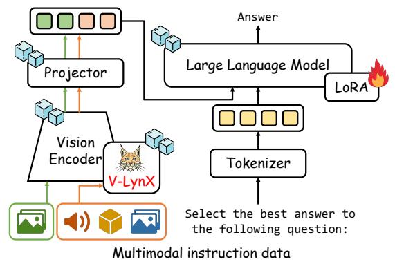 (c) Instruction tuning Figure 3