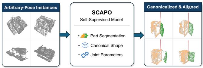 SCAPO figure