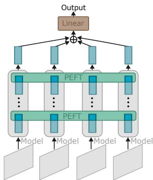 a) Static Backbone + Temporal Adaptation