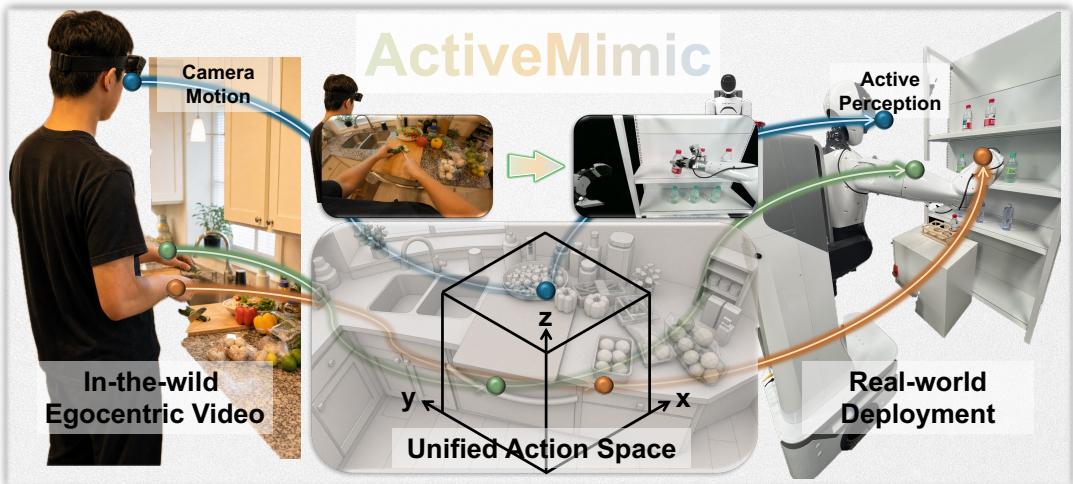 Figureure 1 · : ActiveMimic acquires active perception from in-the-wild egocentric h