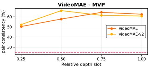Do Video Foundation Models Understand figure