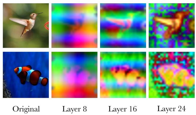Figureure 1 · (Left) Depth-wise linear probing of SigLIP2 [50] features