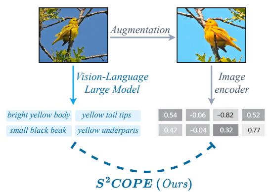 Figureure 1 · : Self-Supervised Visual Concept Discovery