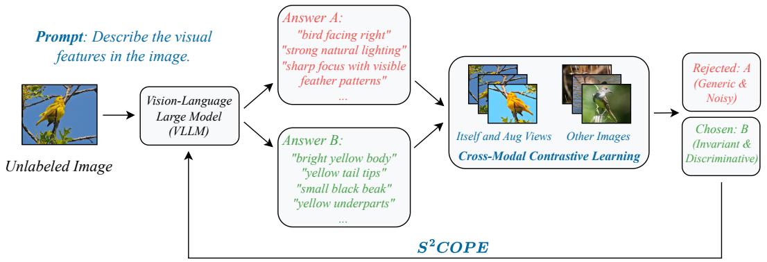 S$^2$COPE figure
