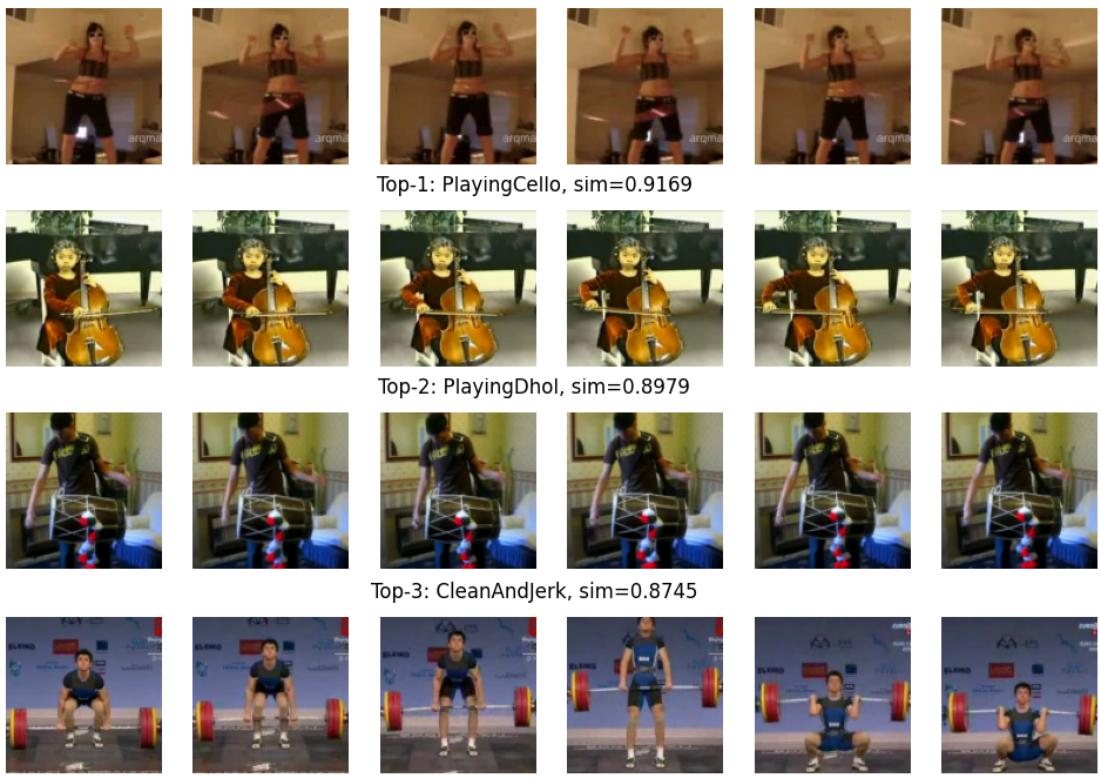 QUERY: HulaHoop Figure 5: Nearest-neighbor retrieval results for a Hula Hoop query video