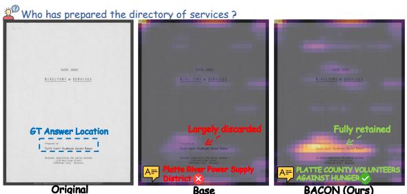 Figureure 1 · : Visual Importance Estimation under low budget on SnapKV: Observation