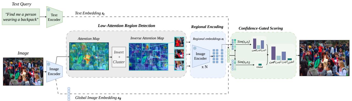 Figureure 3 · LARE pipeline: A single forward pass produces both a global image embe