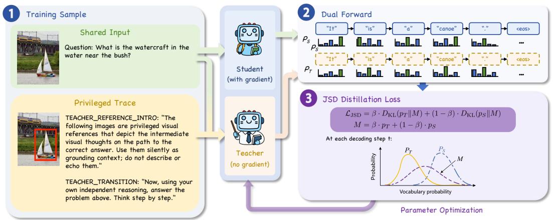 Visual-OPSD figure