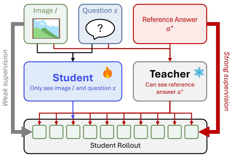 Seeing Before Reasoning figure