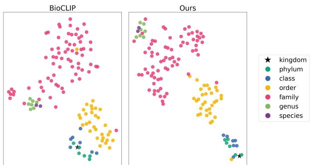 Figureure 2 · t-SNE visualization of text embeddings