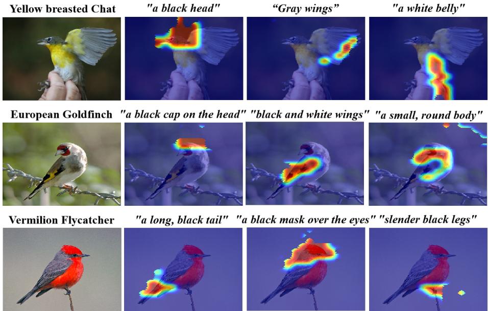Bridging Vision and Language Concepts figure