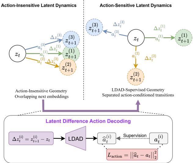 Figureure 2 · : Illustration of LDAD-induced action-sensitive latent geometry