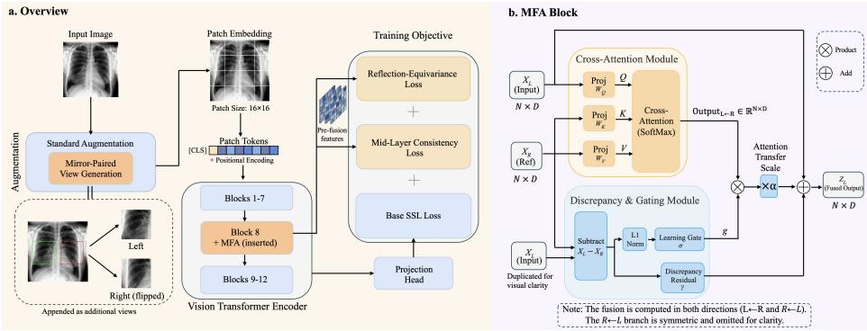 Mirror-Fusion Attention for Reflection-Aware Self-Supervised figure