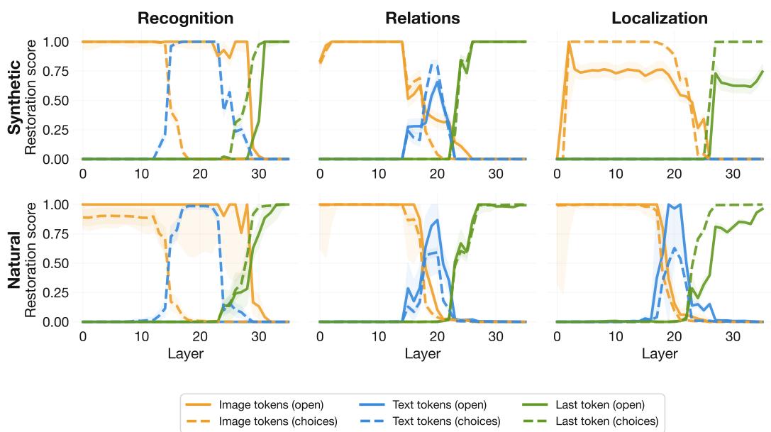 Pathways of Visual Information Flow figure