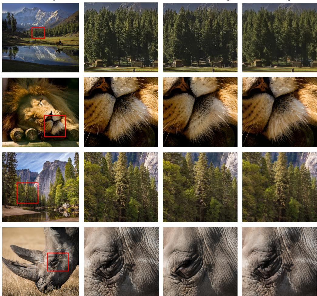 Real image Zoom-in view Stable Diffusion output GAN output Figure 2: Comparison of local d