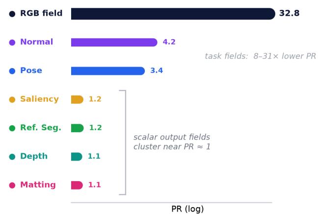 From RGB Generation to Dense Field Readout figure