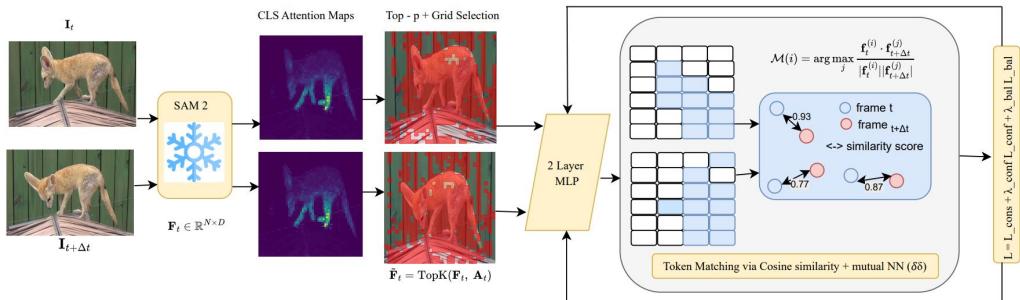 Attention-Guided Cross-Temporal Clustering for Self-Supervised figure