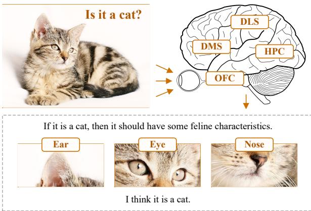 Figureure 1 · : Backward prediction process in question-answering scenarios