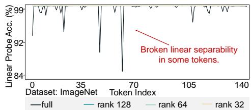 Dive Into the Implicit Biases figure