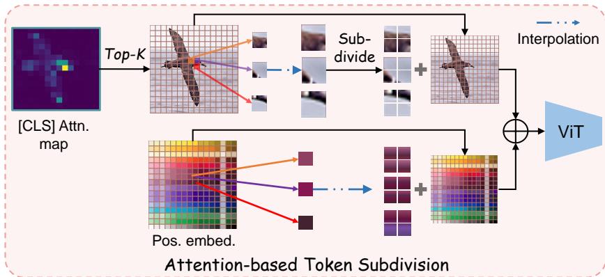 Subtoken Vision Transformer for Fine-grained figure