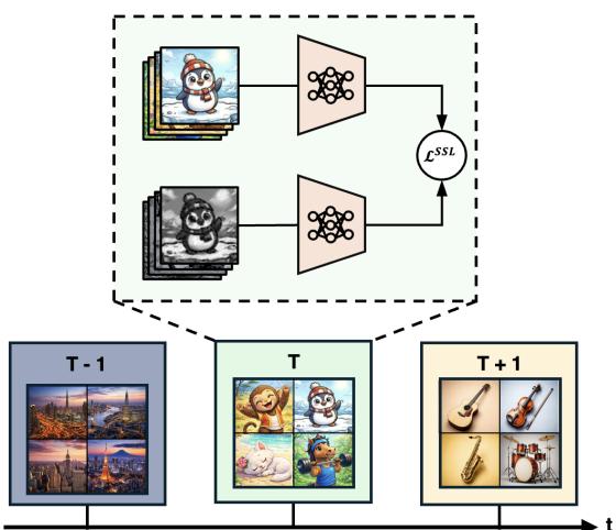 Figureure 1 · : A conceptual visualization of CSSL