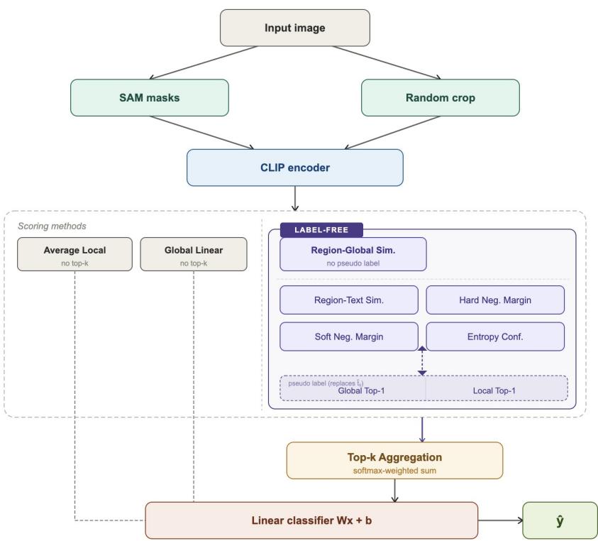 CLIP-Guided Label-Free Discriminative Region Scoring figure
