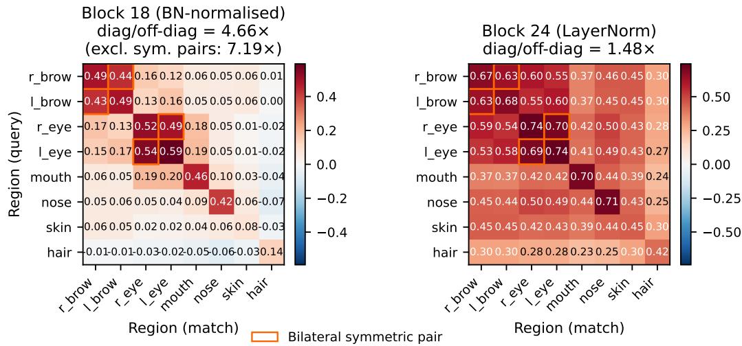 Emergent Region-Level Facial Correspondence in figure
