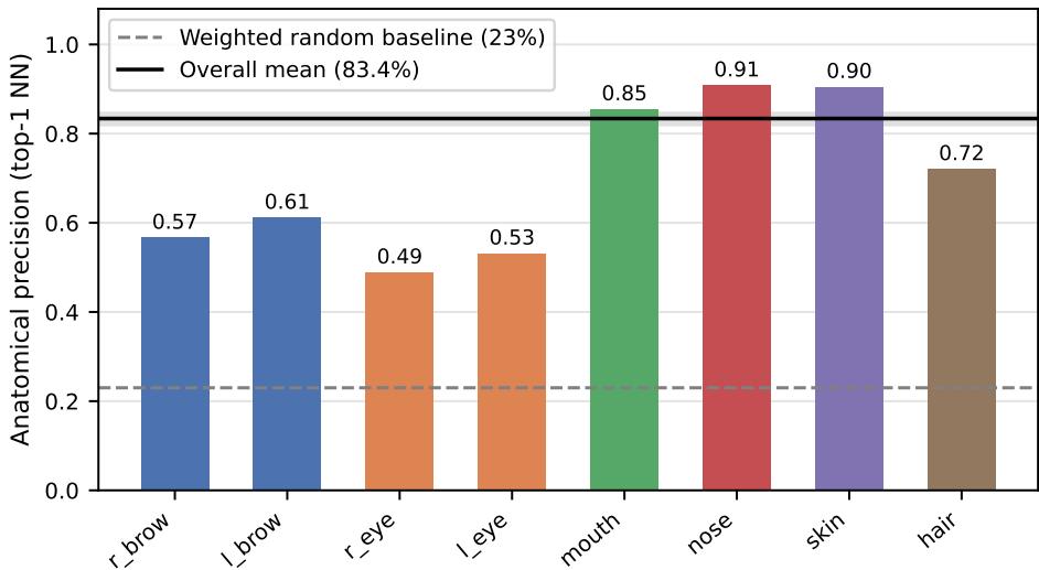 C2: Cross-Identity Anatomical Precision tok\_b18 200 pairs · unconstrained NN · n\_pairs=2